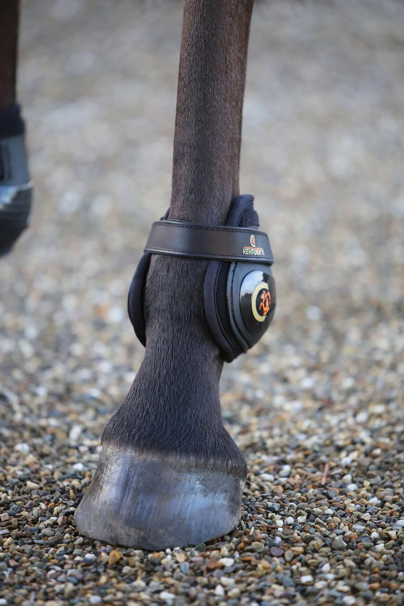 Kentucky Horsewear Moonboots, hinten* Streichkappen