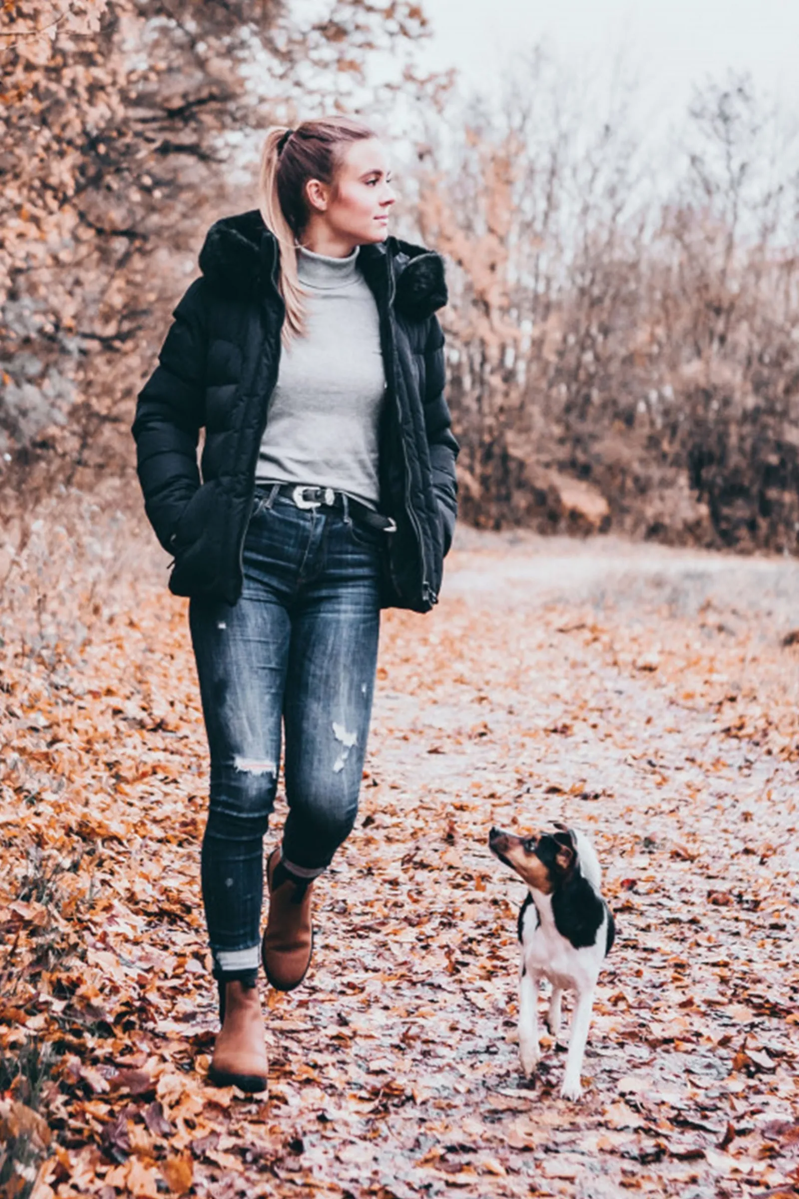 Suedwind Footwear New Work Chelsea Boots* Reitstiefeletten