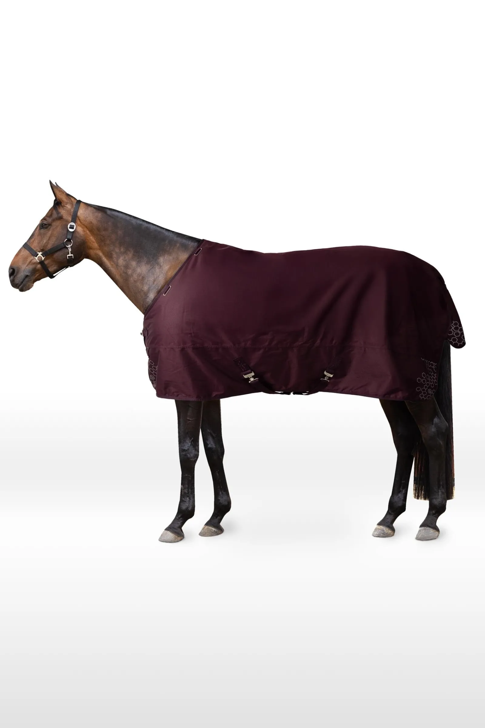 Horze Newbridge Reflektierende Weidedecke, 0 g* Leichte Weidedecken