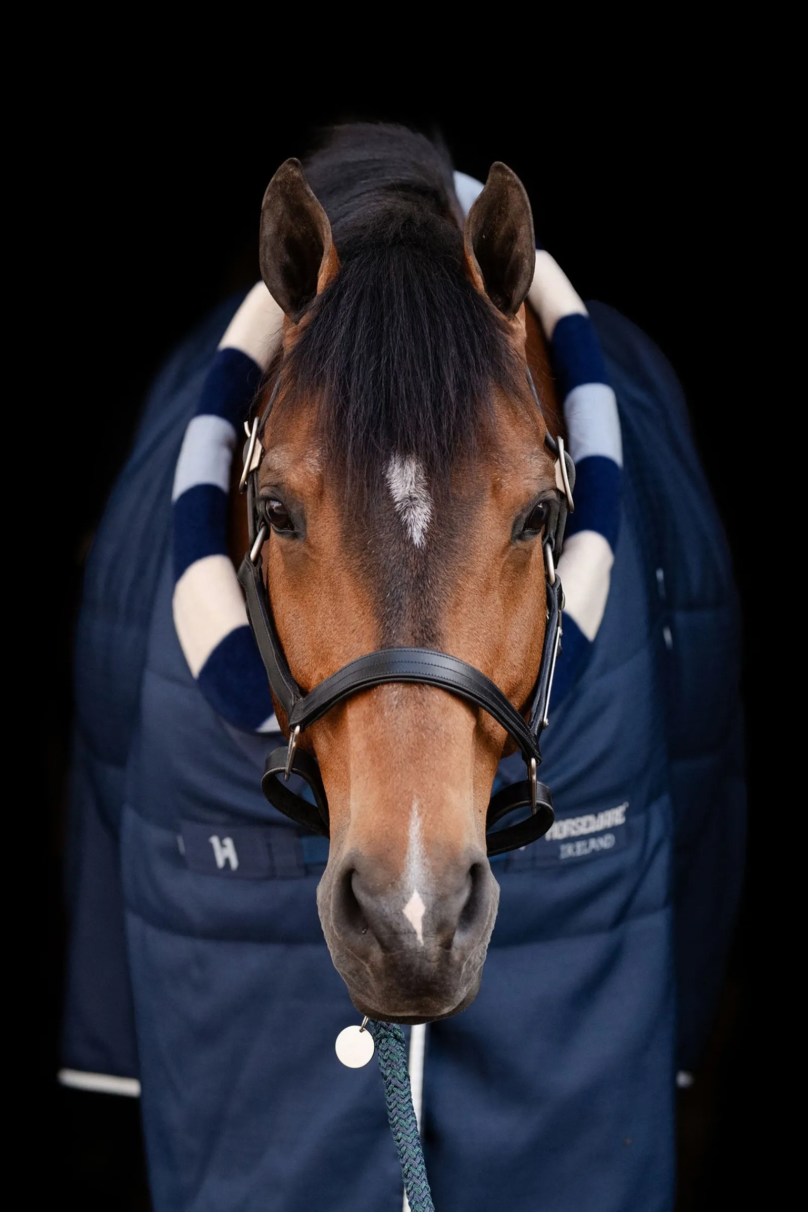 Horseware Newmarket Cosy Stalldecke 100g* Stall- & Unterdecken