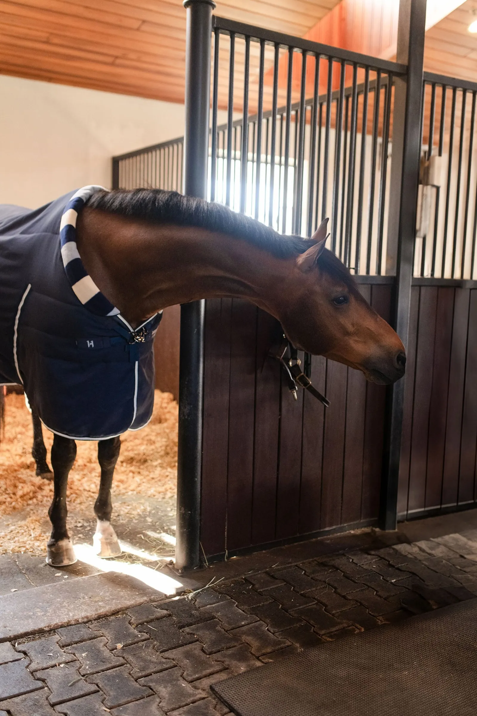 Horseware Newmarket Cosy Stalldecke 100g* Stall- & Unterdecken
