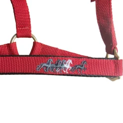Karlslund Nylonhalfter* Halfter