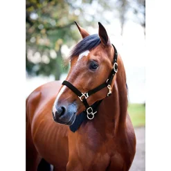Finntack Nylon-Halfter, gepolstert* Halfter