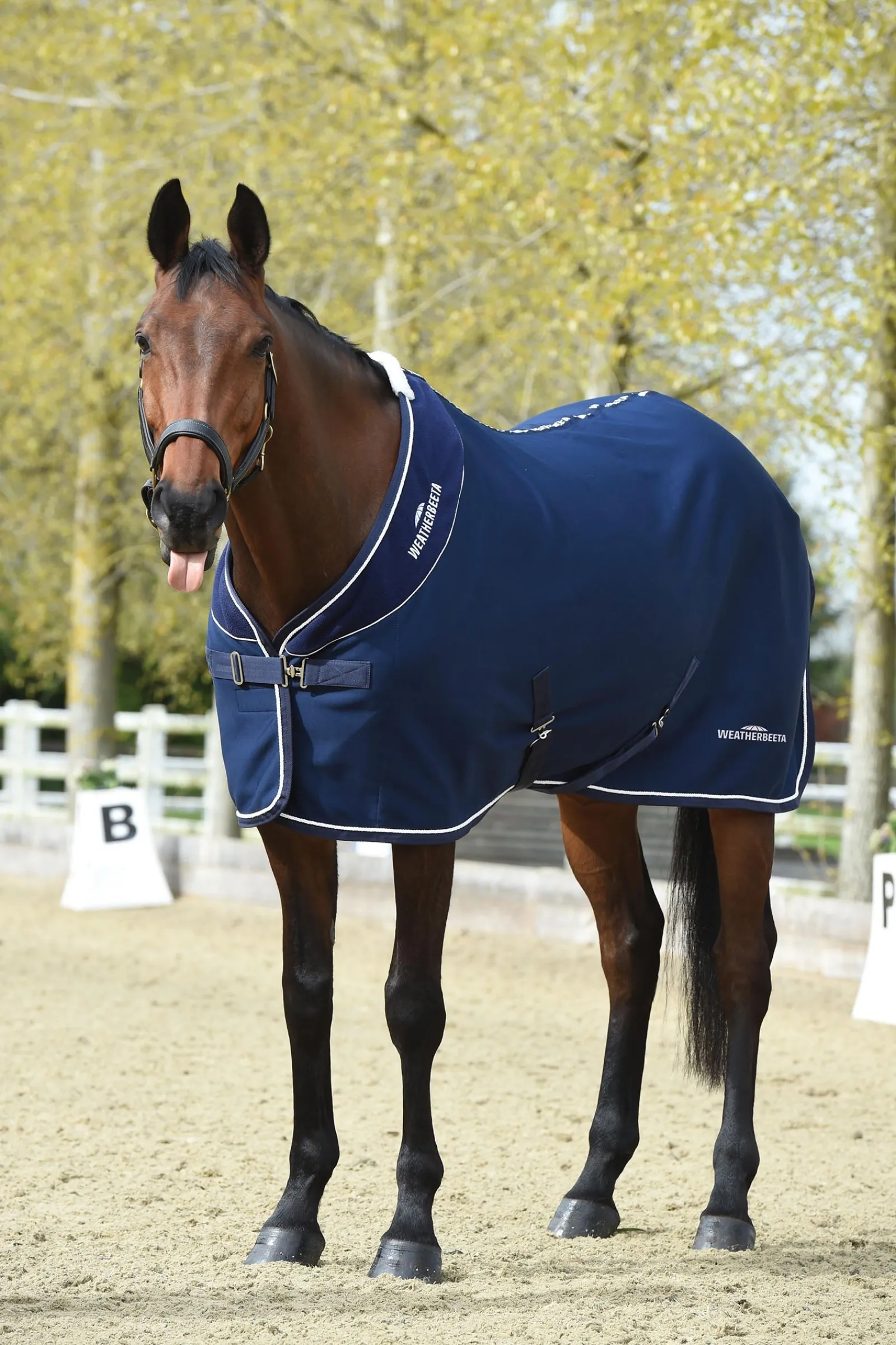 Weatherbeeta Opulence Turnierdecke Standardhalsausschnitt* Abschwitzdecken