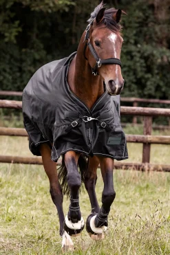 Waldhausen Outdoor Rug Scandic Light* Leichte Weidedecken