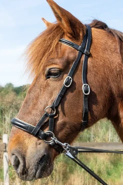 F.R.A. Freedom Riding Articles Pardoes de Luxe Sidepull mit Zügeln (System 3)* Trensen & Nasenriemen