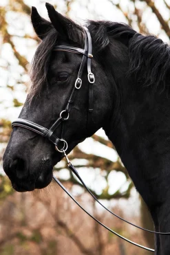 F.R.A. Freedom Riding Articles Pardoes de Luxe Sidepull mit Zügeln (System 3)* Trensen & Nasenriemen