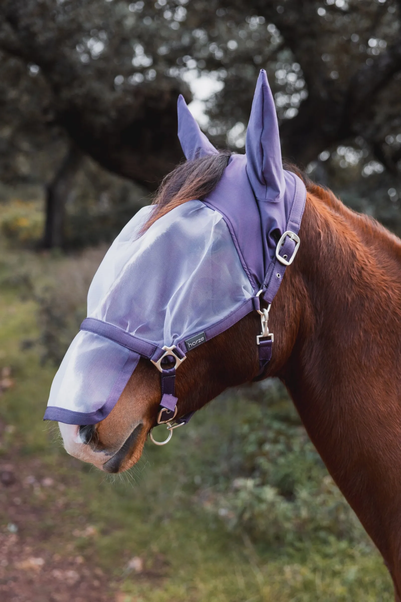 Horze Paso Fino Halfter mit Fliegenmaske* Fliegenmasken & Fliegenfransen
