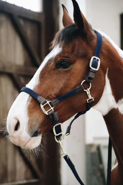 Kentucky Horsewear Plaited Nylon Stallhalfter* Halfter