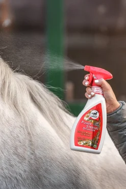 Leovet Power Striegel Kamille* Haar- & Mähnen- & Schweifpflege