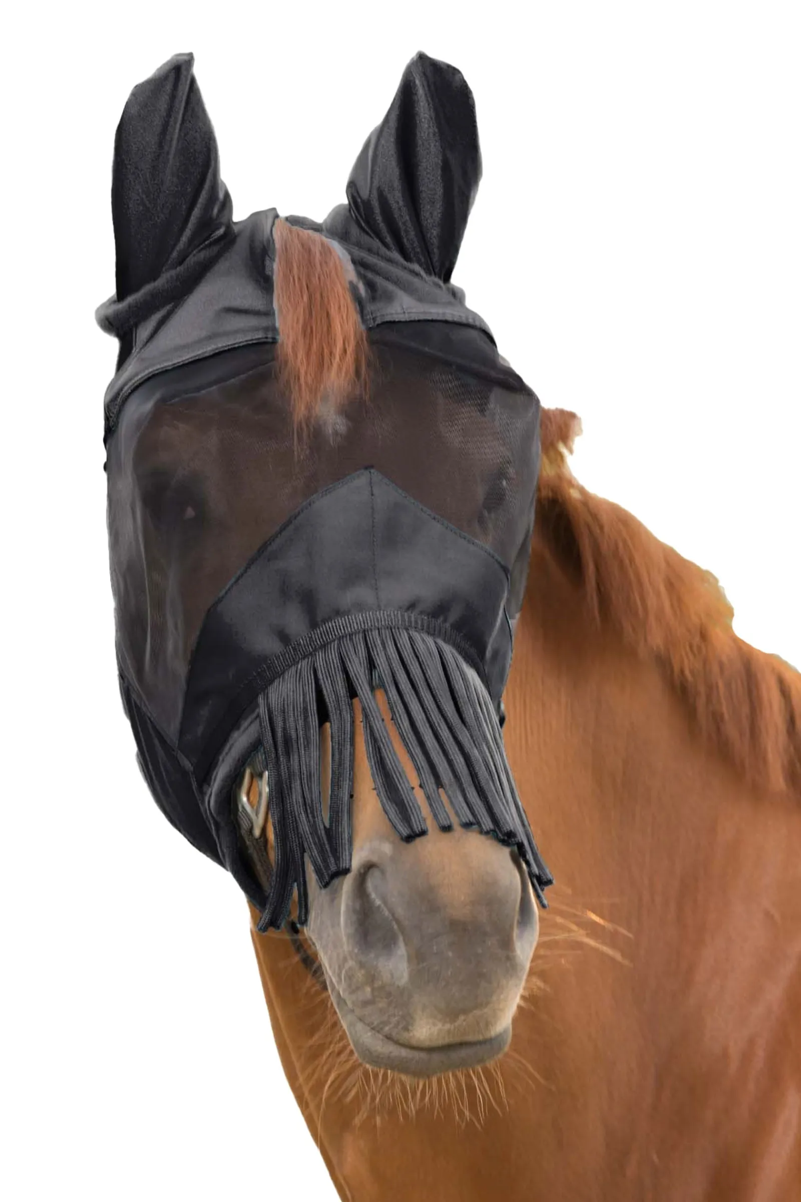 Waldhausen Premium Fliegenmaske 3-in-1* Fliegenmasken & Fliegenfransen