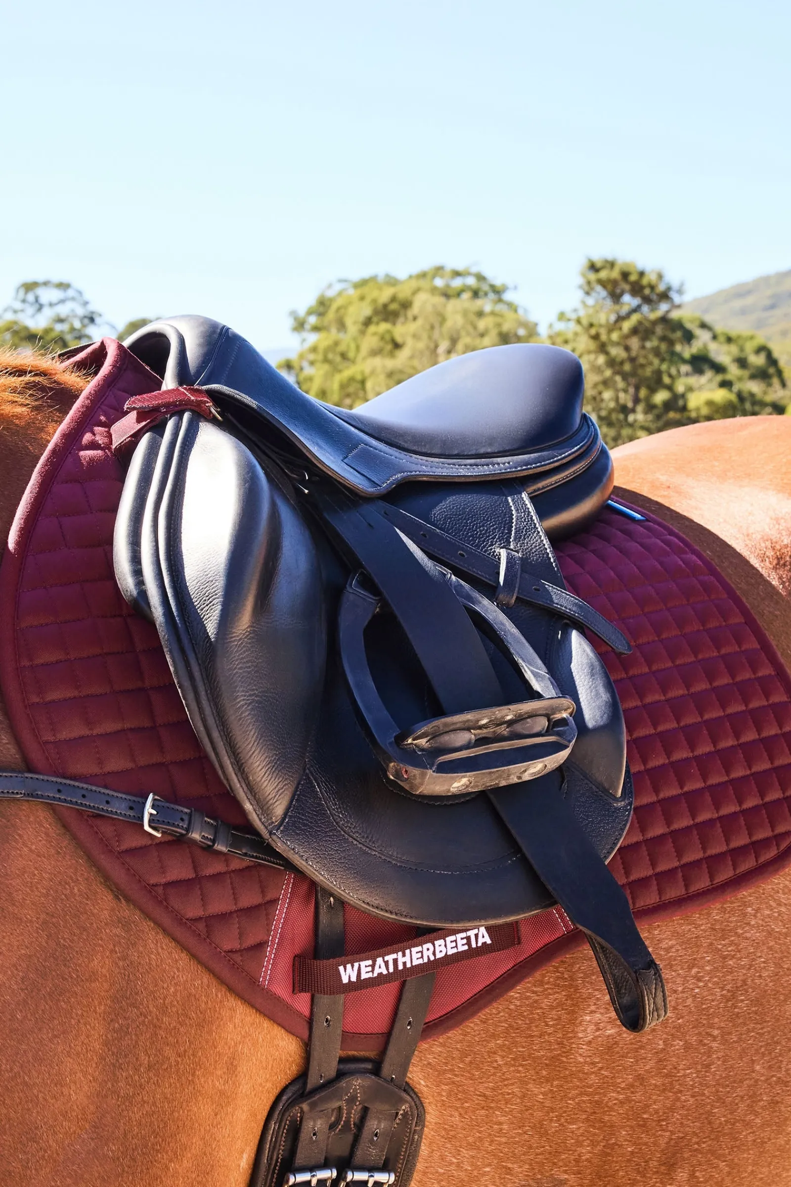 Weatherbeeta Prime Air-Tec Springschabracke* Spring- & Vielseitigkeitsschabracken