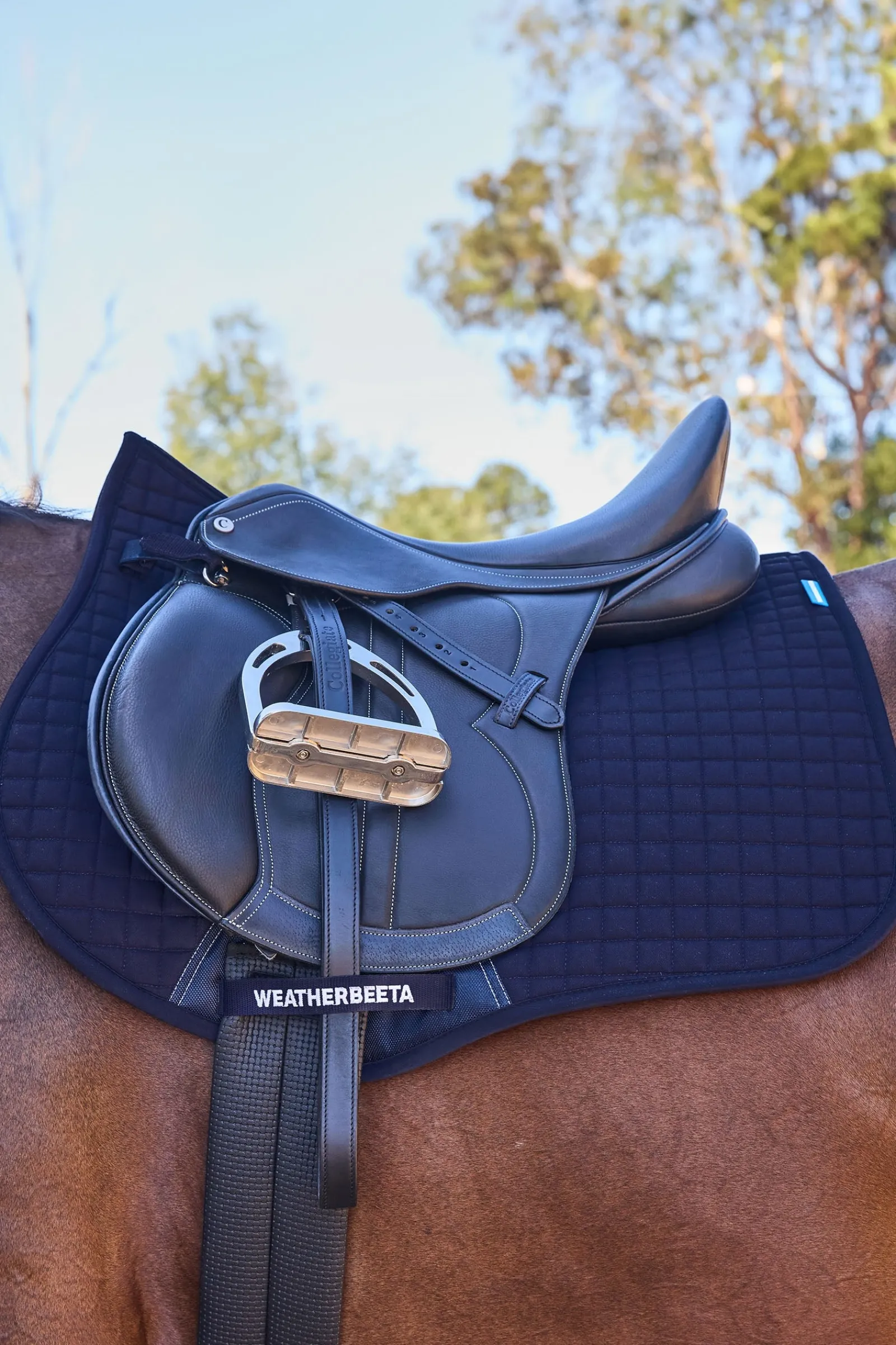 Weatherbeeta Prime Air-Tec Vielseitigkeitsschabracke* Spring- & Vielseitigkeitsschabracken