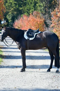 Weatherbeeta Prime Comfy Fleece Numnah* Spring- & Vielseitigkeitsschabracken