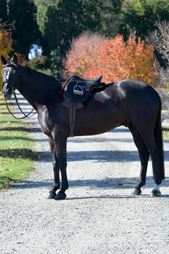 Weatherbeeta Prime Comfy Fleece Numnah* Spring- & Vielseitigkeitsschabracken