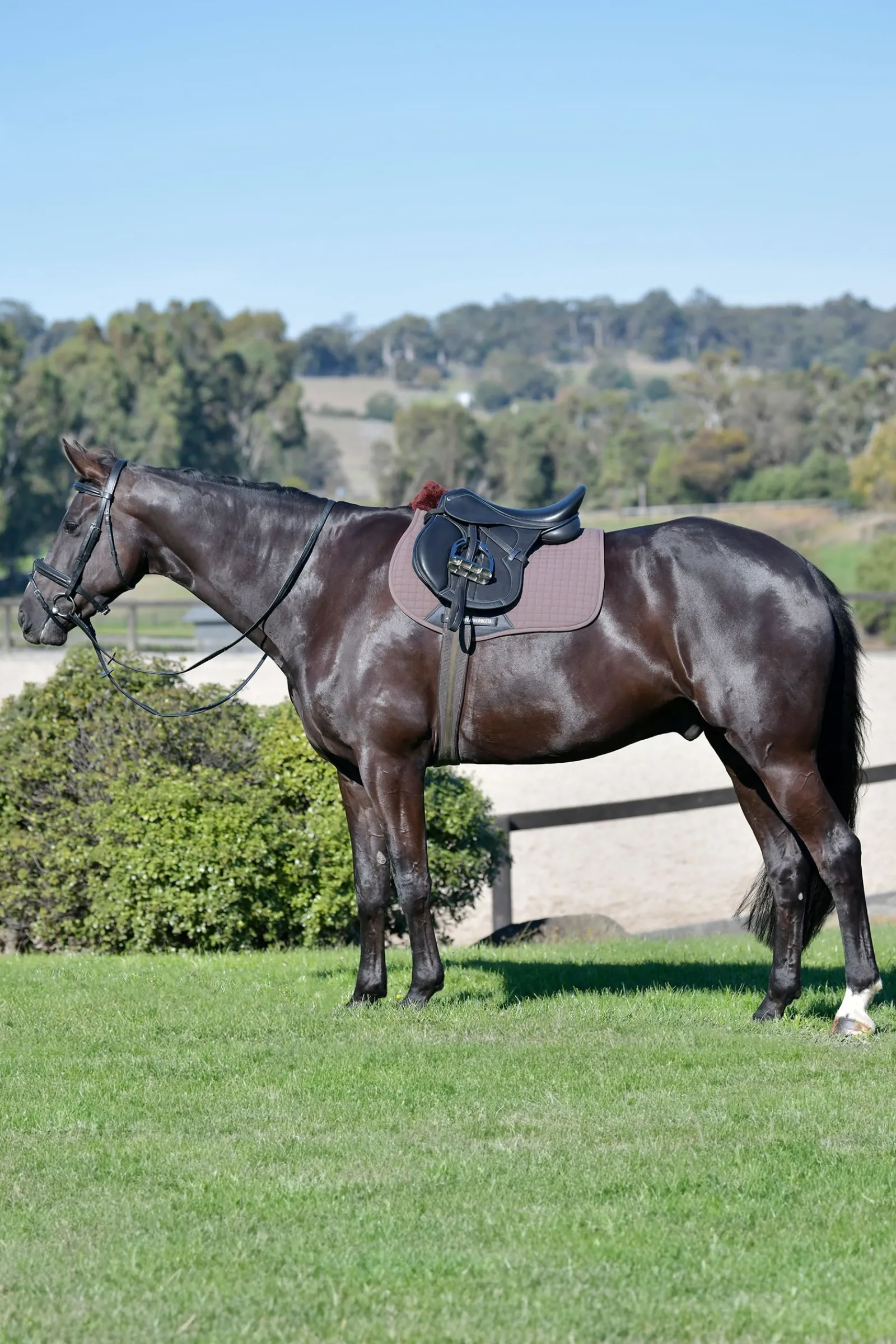 Weatherbeeta Prime Comfy Fleece Vielseitigkeitsschabracke* Spring- & Vielseitigkeitsschabracken