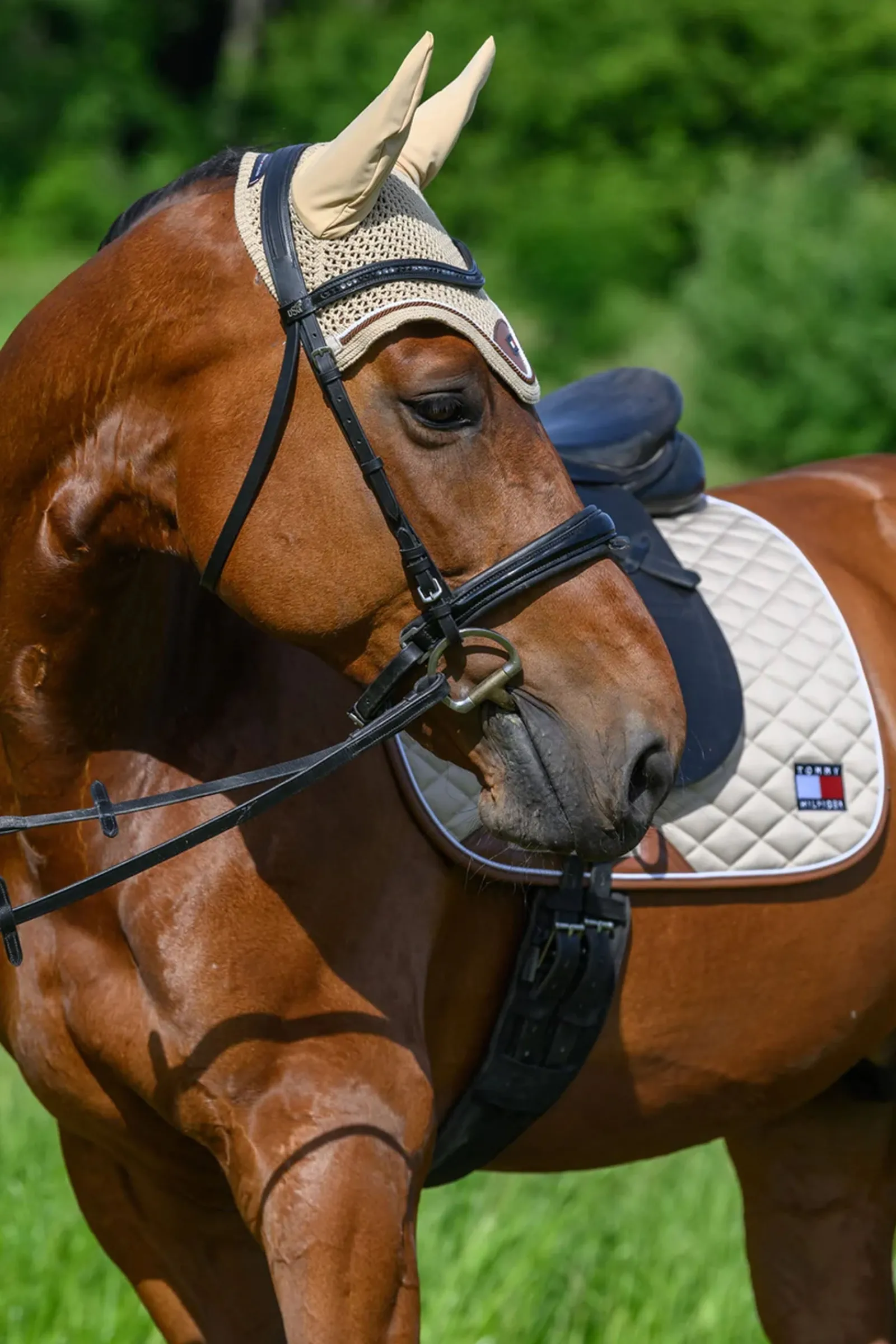 Tommy Hilfiger Equestrian Princeton Dressurschabracke* Dressurschabracken