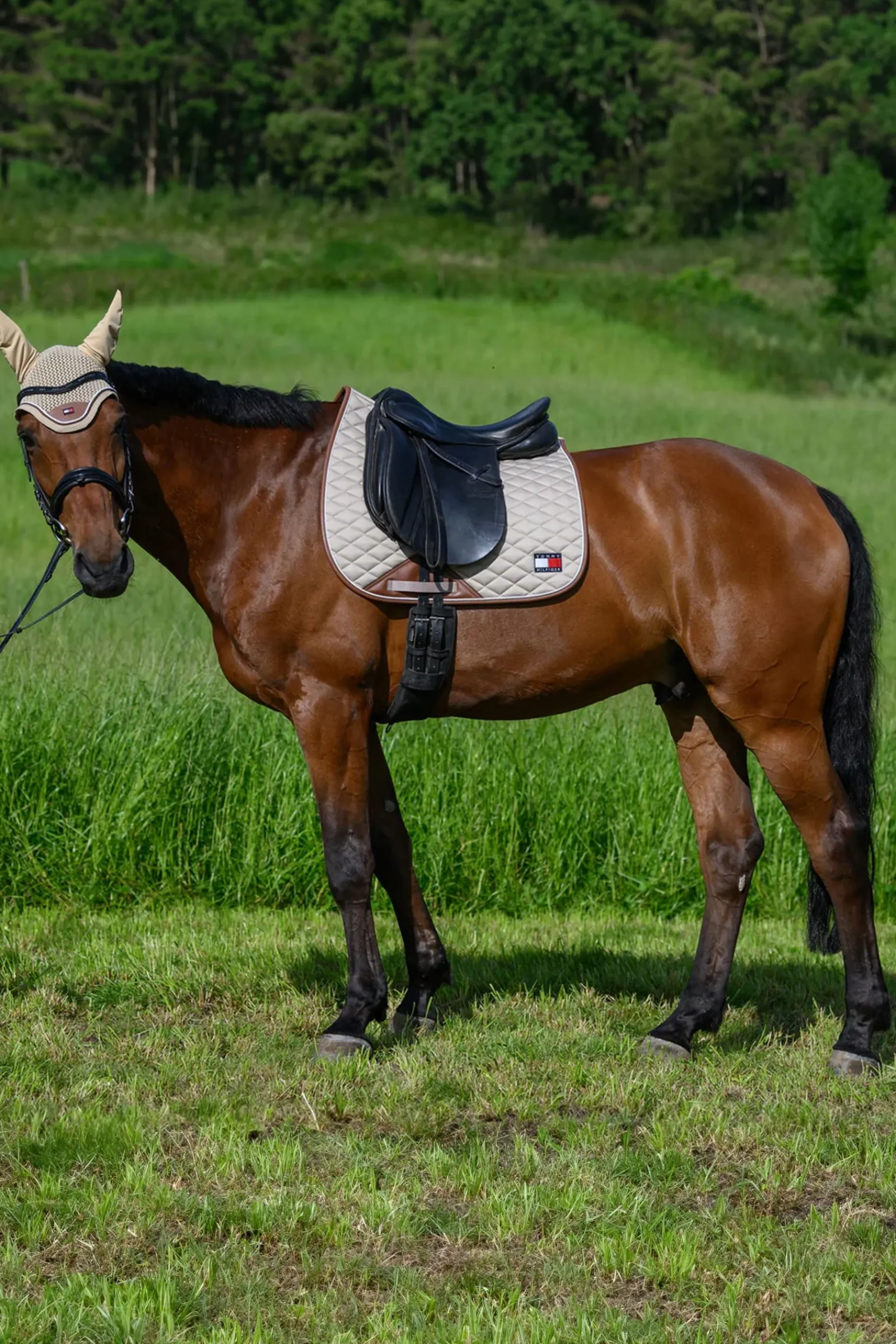 Tommy Hilfiger Equestrian Princeton Dressurschabracke* Dressurschabracken