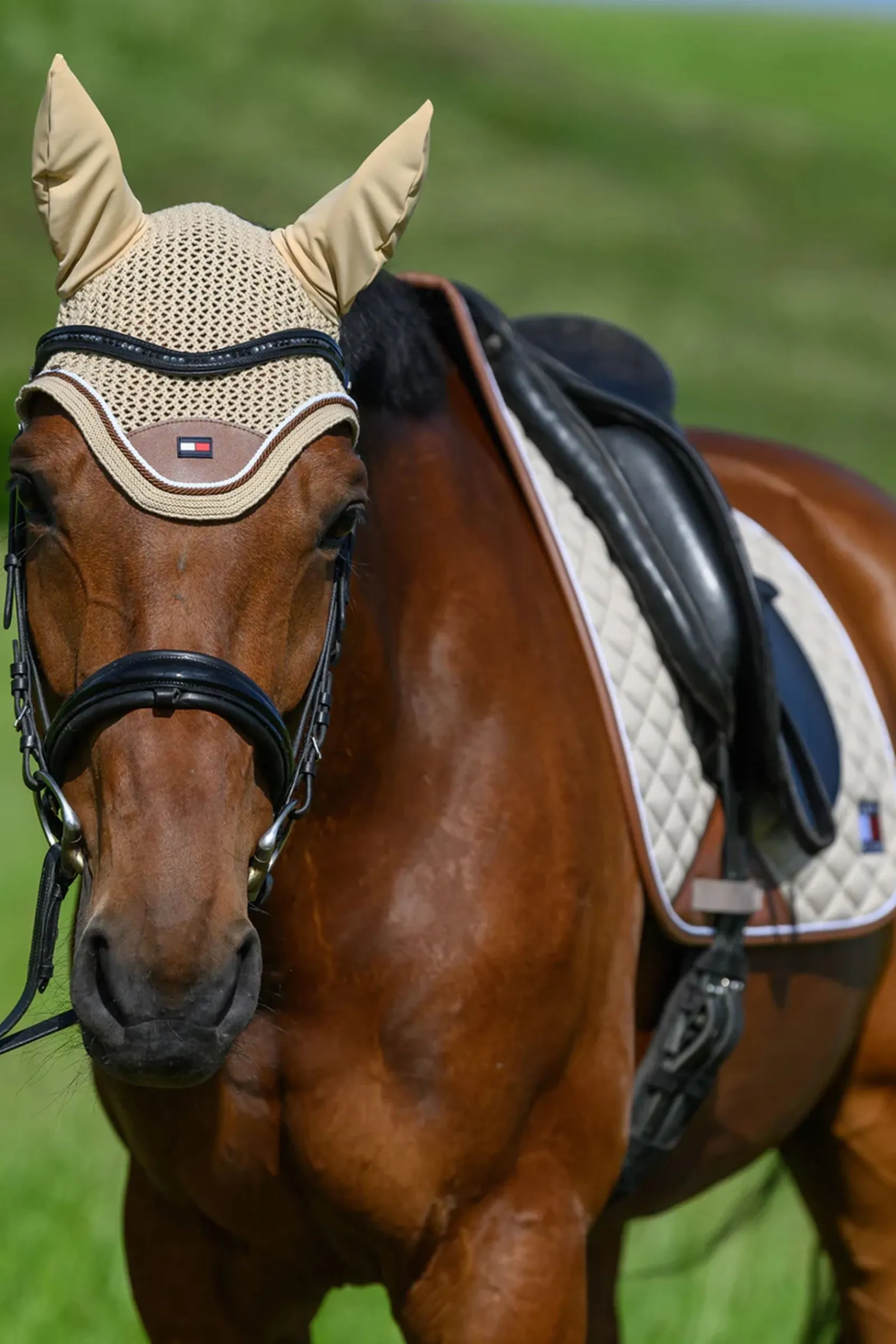 Tommy Hilfiger Equestrian Princeton Fliegenhaube* Ohrenhauben|Ohrenhauben