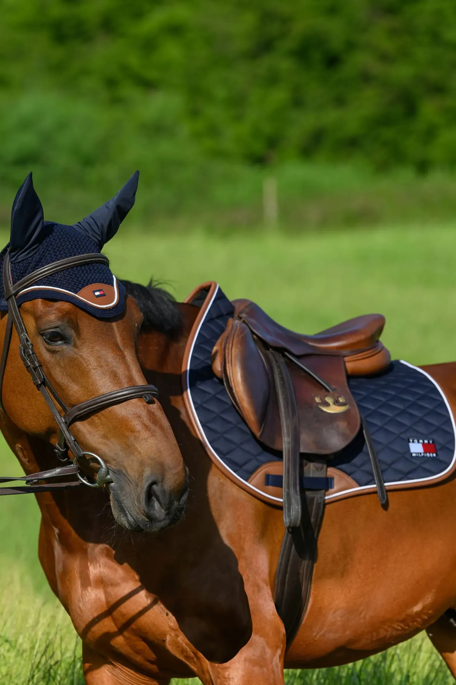 Tommy Hilfiger Equestrian Princeton Springschabracke* Spring- & Vielseitigkeitsschabracken