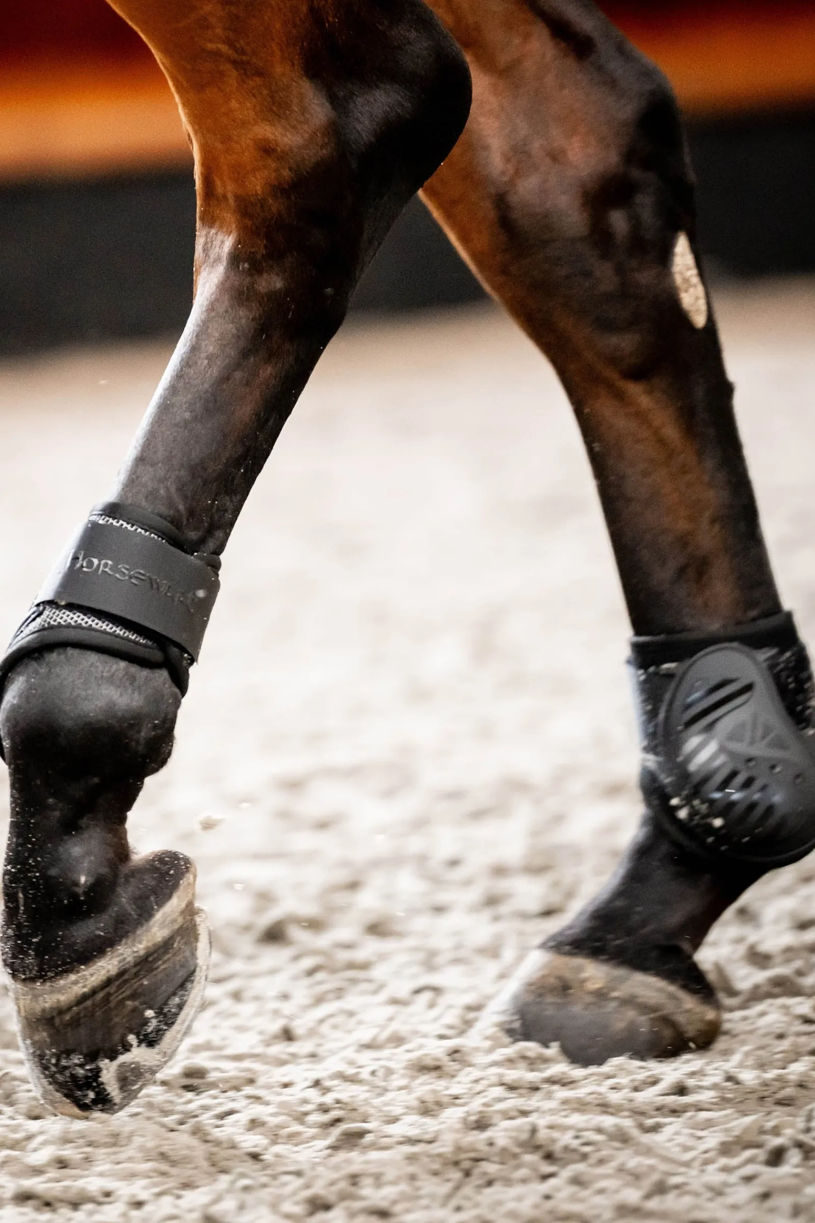 Horseware Pro Bamboo Fesselkopfgamaschen* Streichkappen