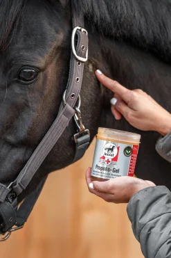 Leovet Propolis-Gel* Stallapotheke|Sonstige Therapie- & Massageartikel