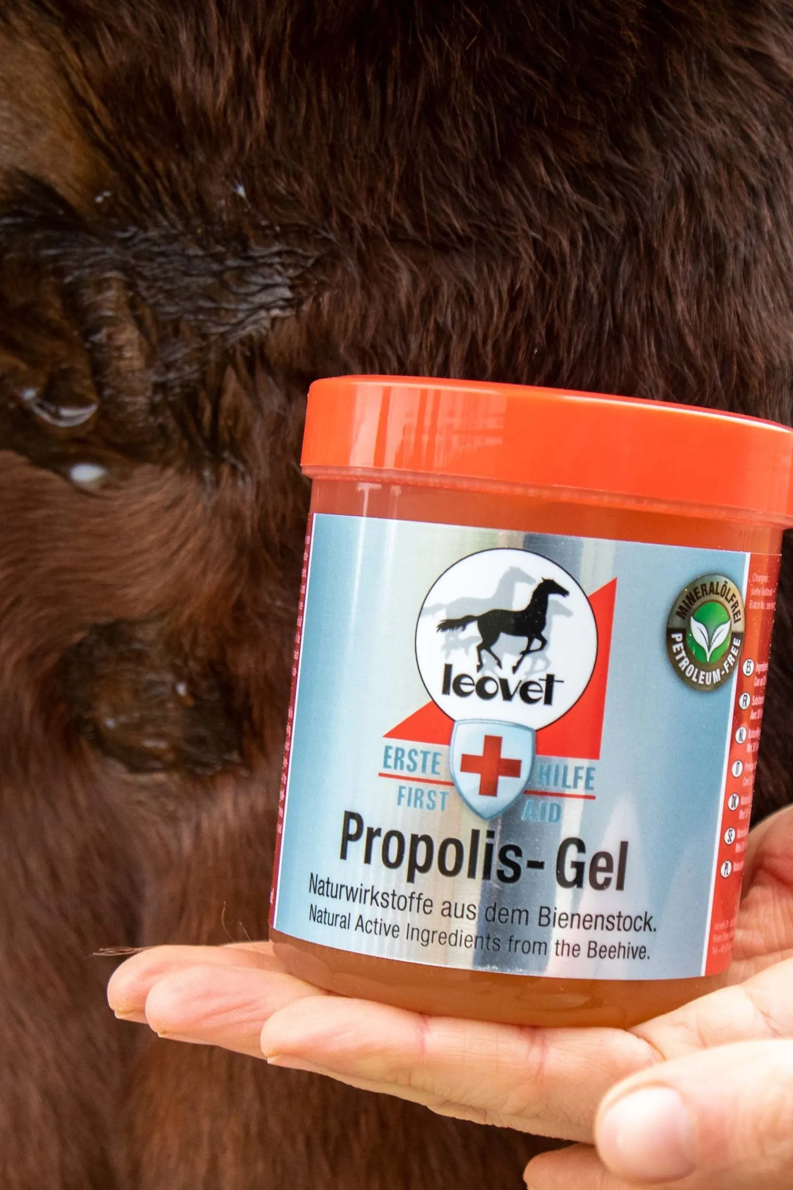 Leovet Propolis-Gel* Stallapotheke|Sonstige Therapie- & Massageartikel