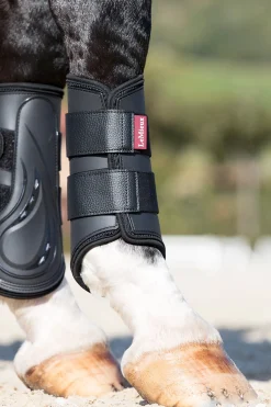 LeMieux ProShell Gamaschen* Dressurgamaschen