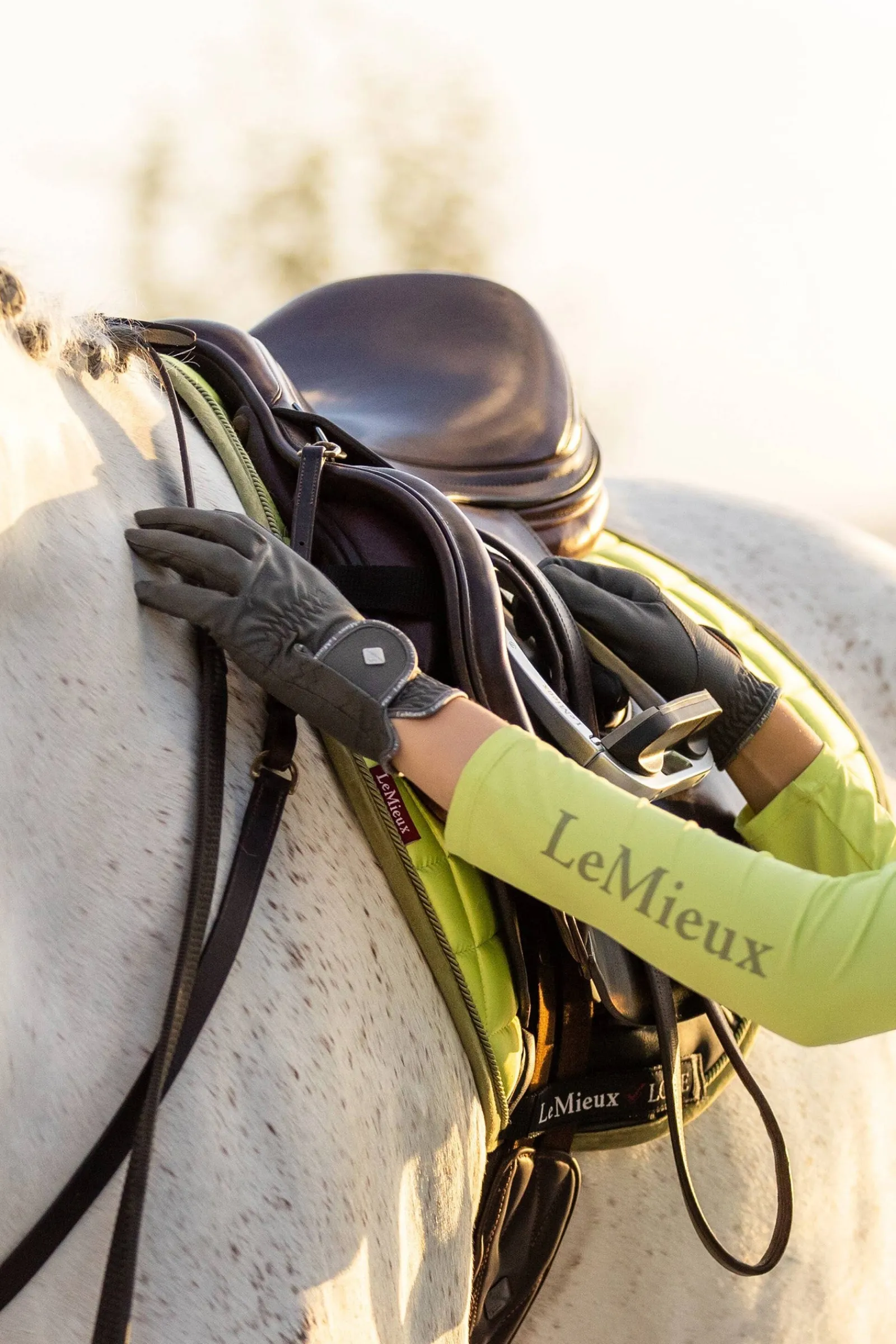 LeMieux ProTouch Classic Reithandschuhe* Ganzjahreshandschuhe