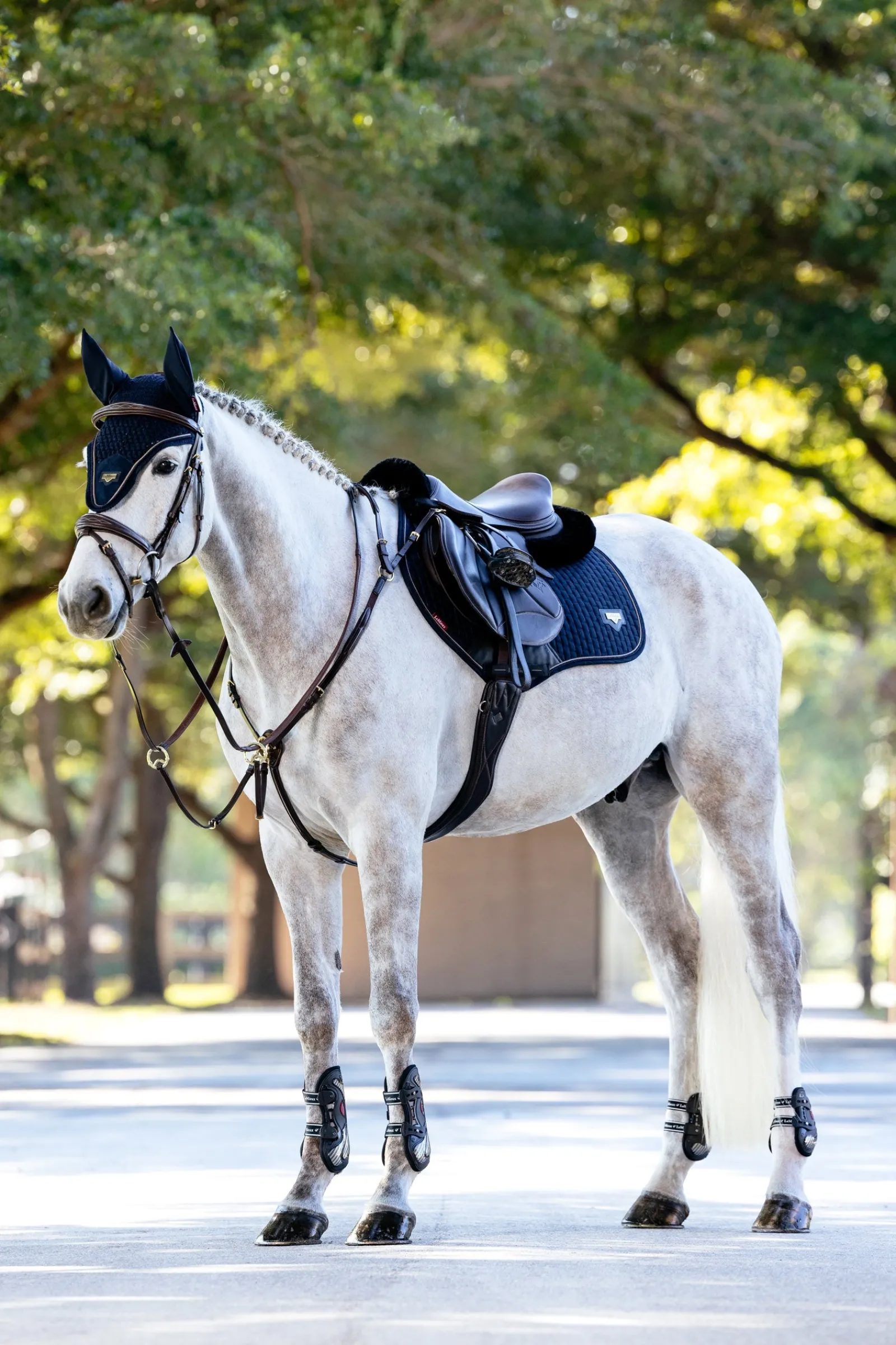 LeMieux Puissance Close Contact Springschabracke aus Wildlederimitat* Spring- & Vielseitigkeitsschabracken