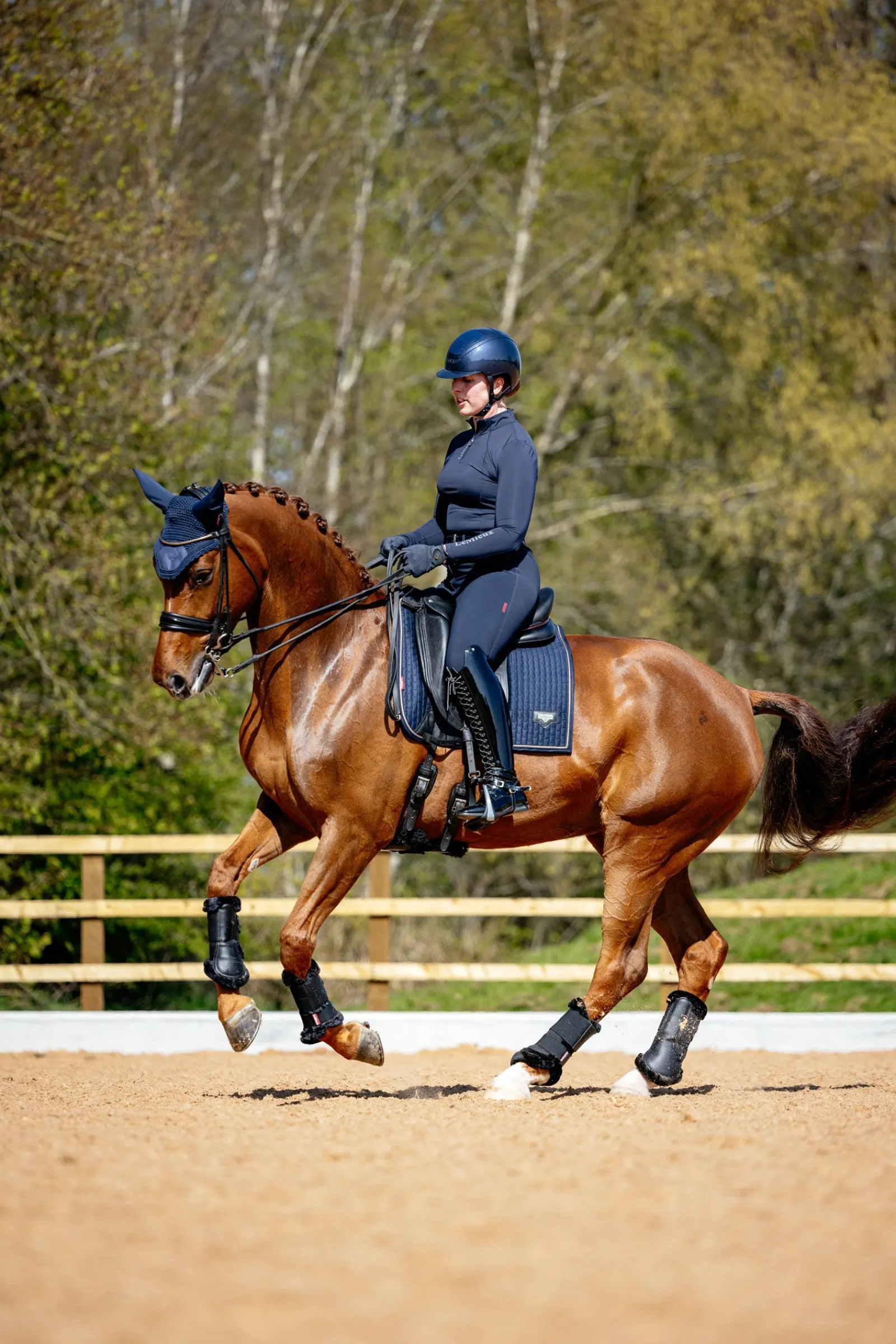 LeMieux Puissance Dressurschabracke aus Wildlederimitat* Dressurschabracken