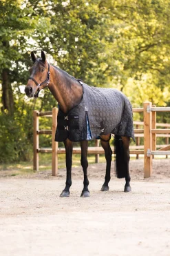 Horze Quebec Stalldecke, 100g* Stall- & Unterdecken