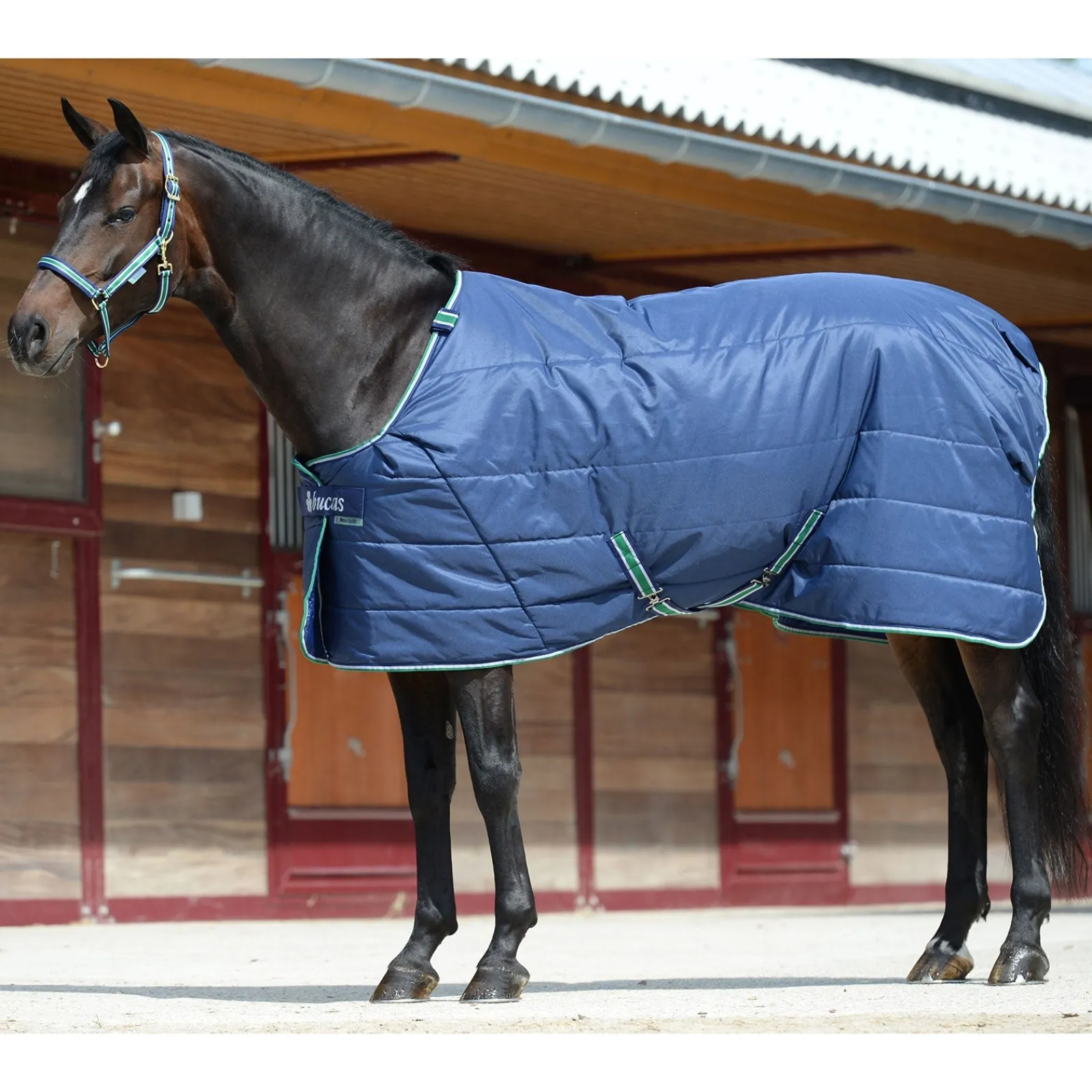 Bucas Quilt Stay-dry, 150g* Stall- & Unterdecken