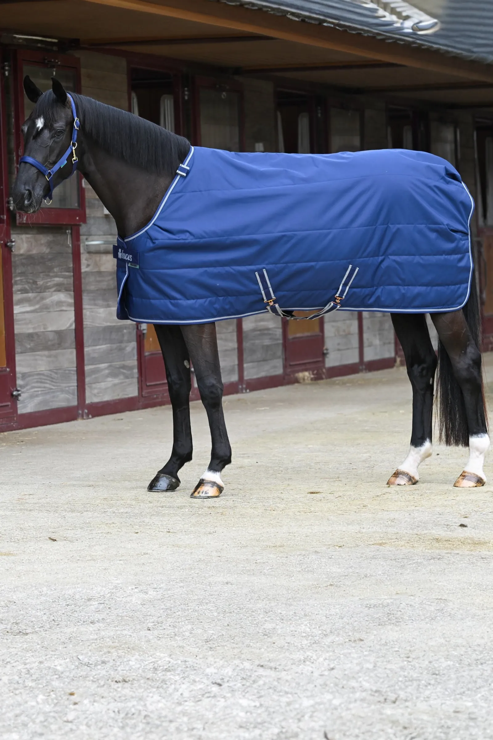 Bucas Quilt Stay-dry, 150g* Stall- & Unterdecken