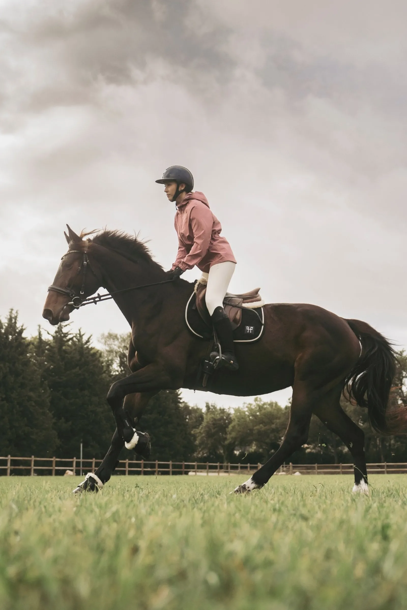 Horse Pilot Raintech Damenjacke*Damen Mäntel & Jacken Für Damen