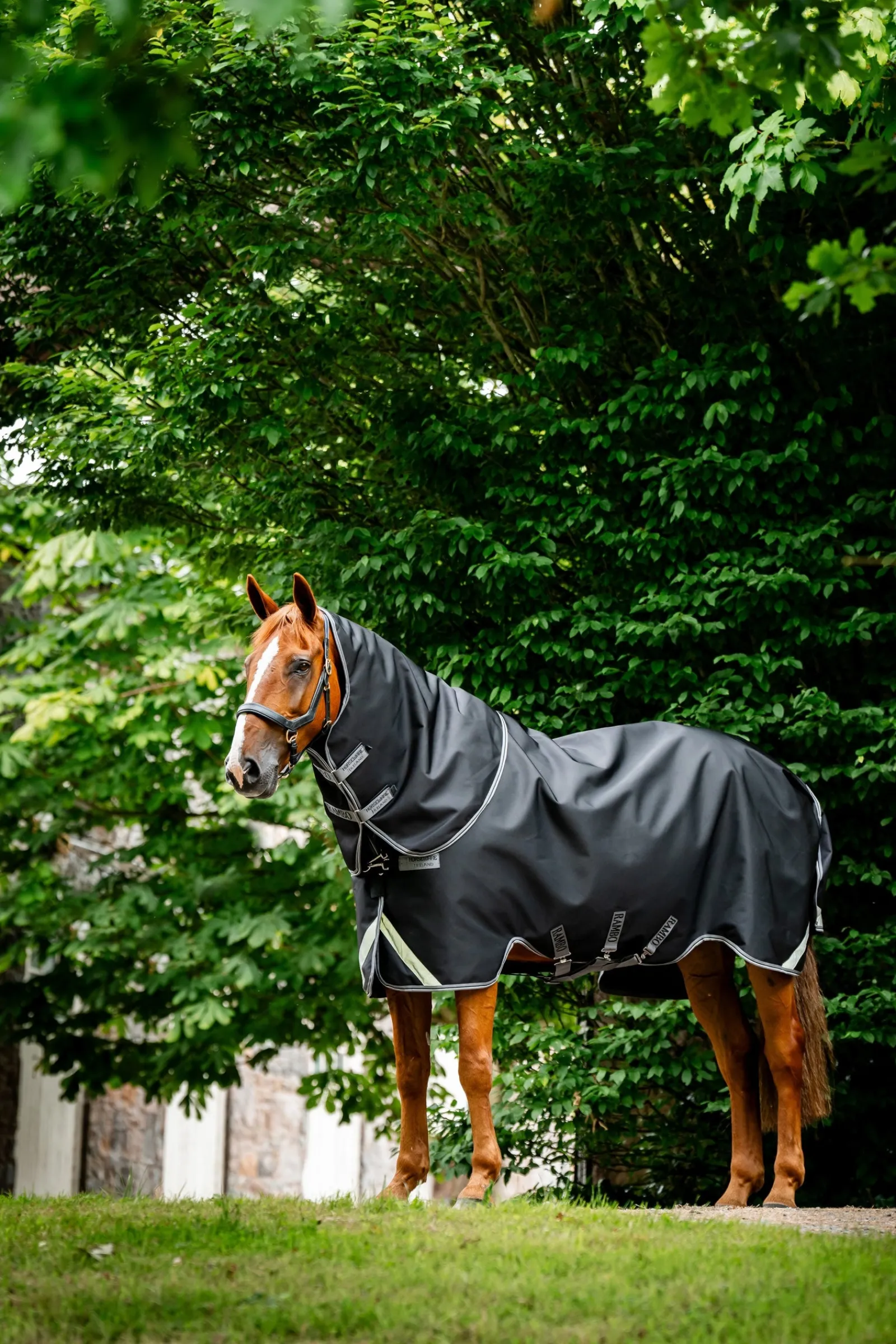 Horseware Rambo 1680D Plus Outdoordecke, 100 g* Leichte Weidedecken