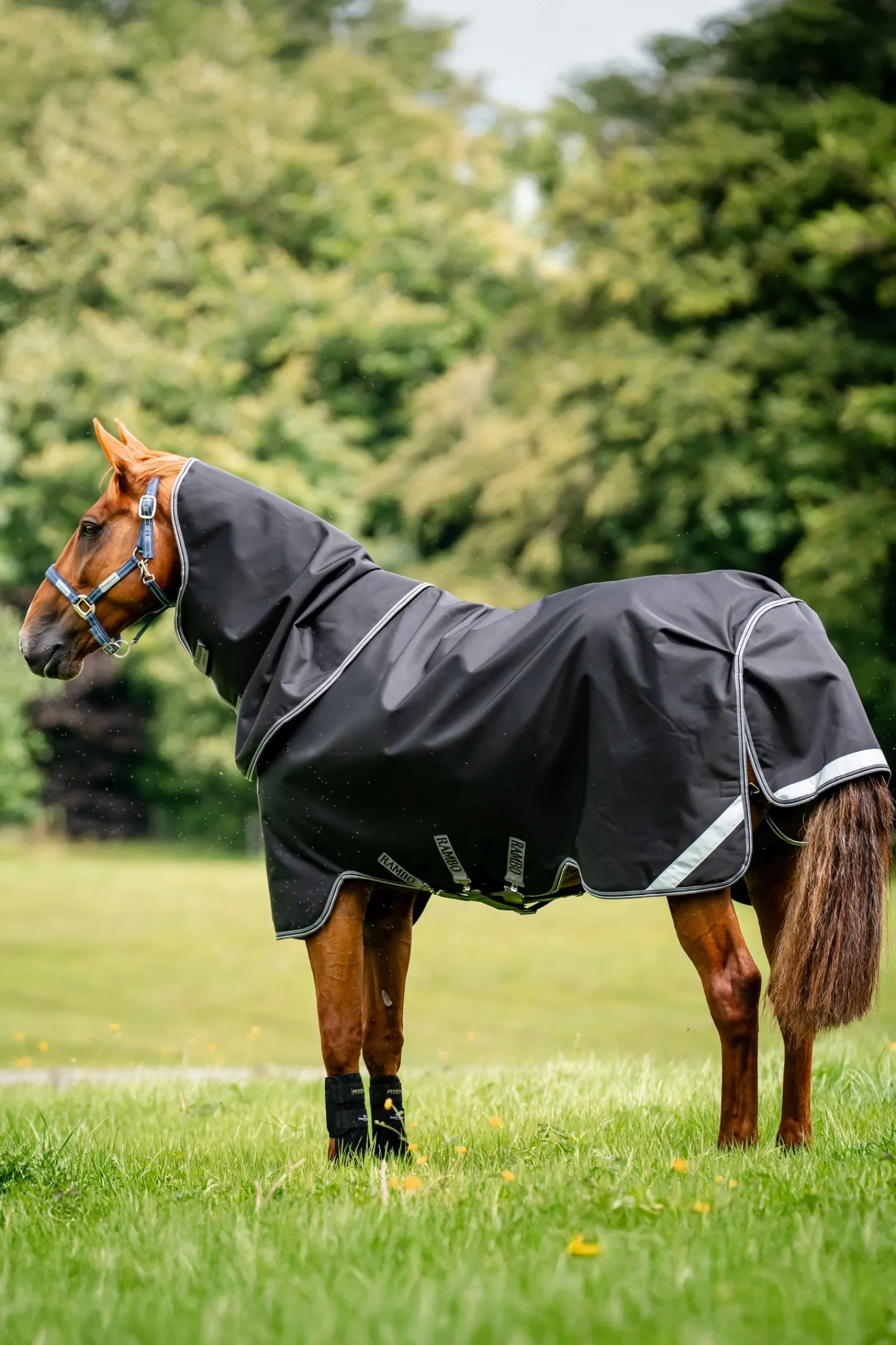 Horseware Rambo 1680D Plus Outdoordecke, 100 g* Leichte Weidedecken