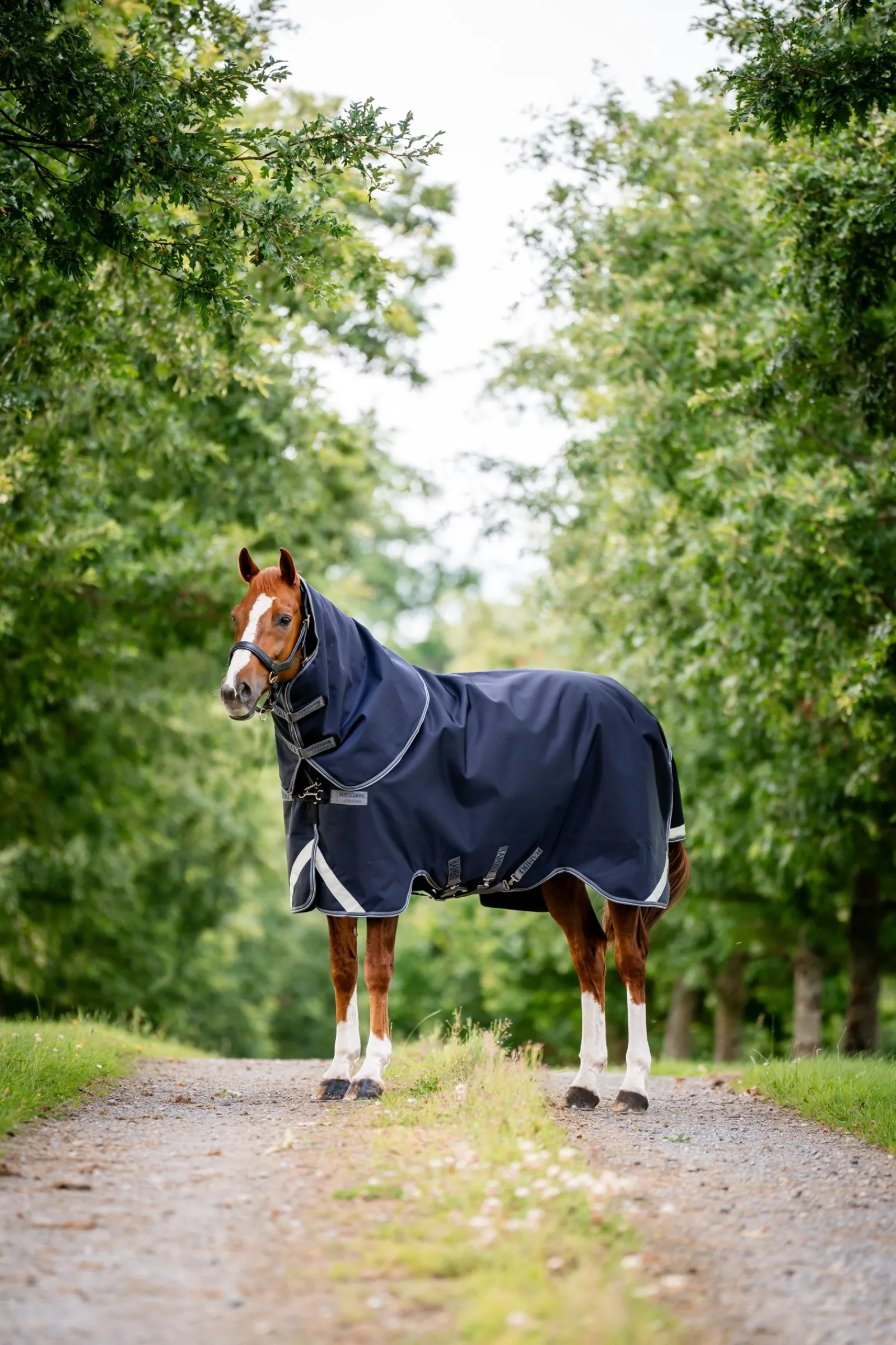 Horseware Rambo 1680D Plus Vario Layer Outdoordecke, 250 g* Mittelschwere & Schwere Winterdecken