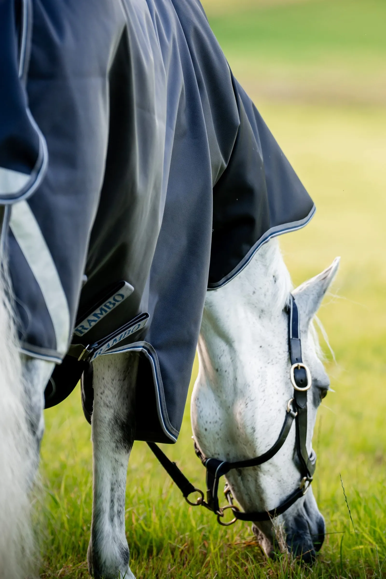 Horseware Rambo 1680D Plus Vario Layer Outdoordecke, 250 g* Mittelschwere & Schwere Winterdecken