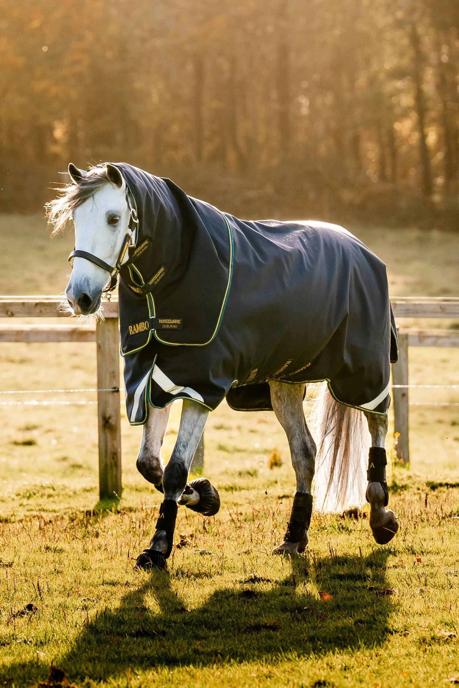 Horseware Rambo Duo Force 2.0 Turnout (100g Außendecke mit 100g Liner und 300g Liner)* Mittelschwere & Schwere Winterdecken
