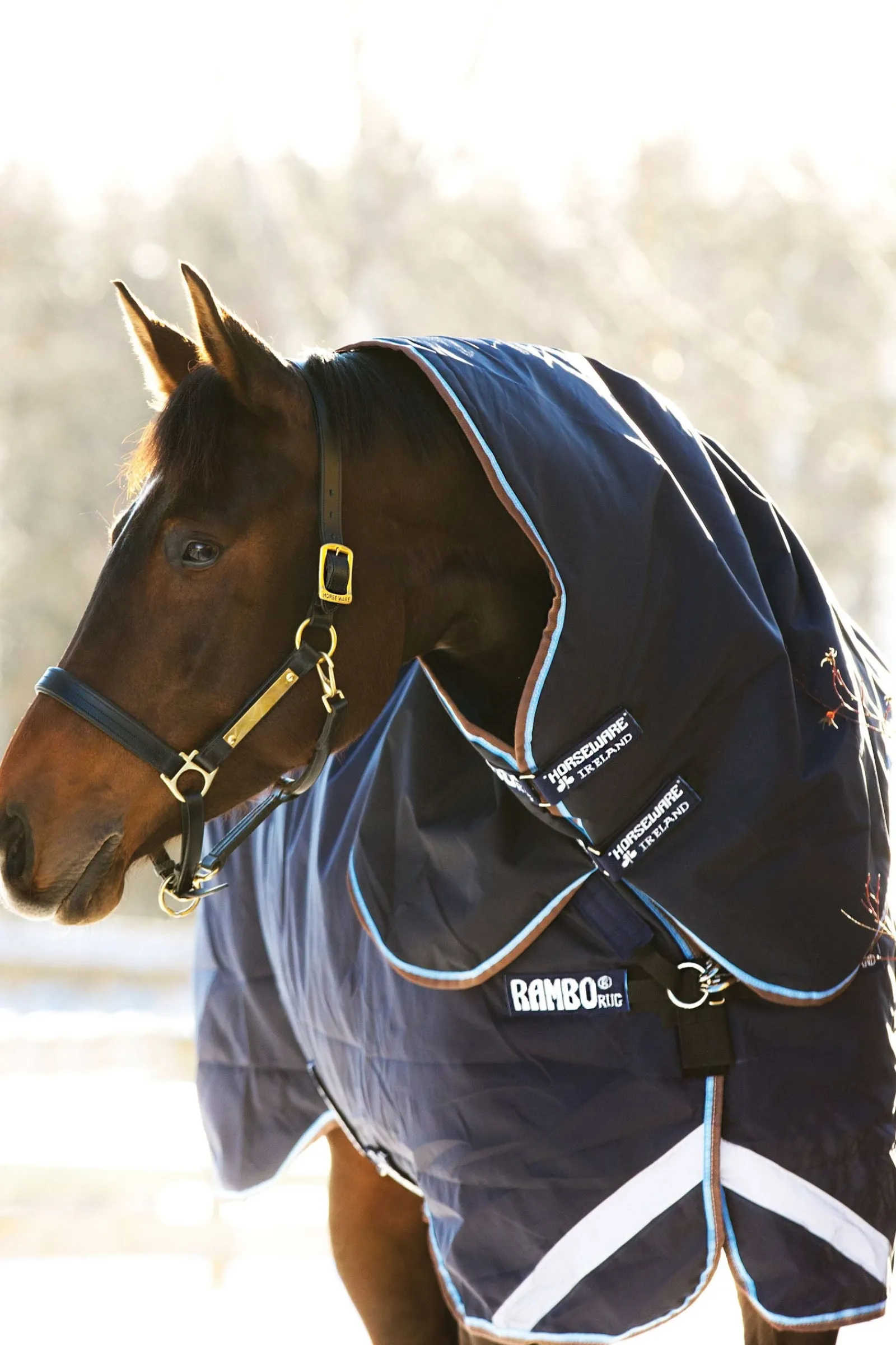 Horseware Rambo Duo Weidedecke mit abnehmbarem Halsteil, 100g* Leichte Weidedecken