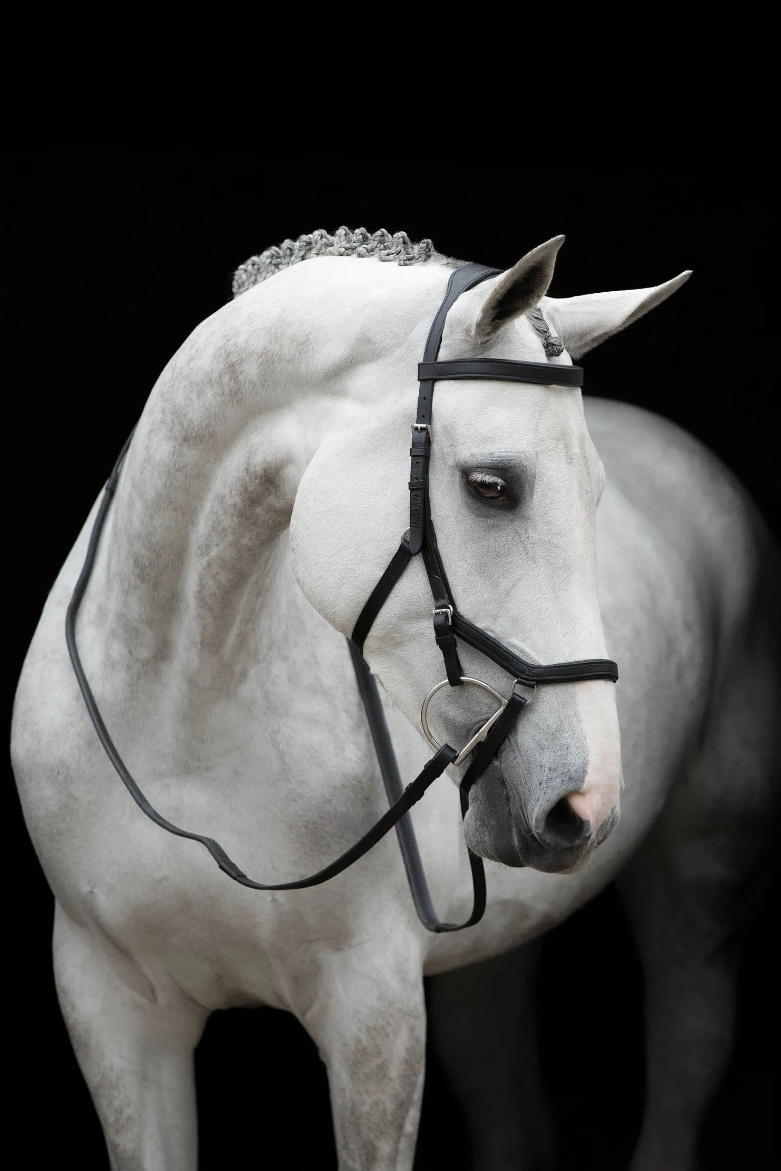 Horseware Rambo Micklem Competition Trensenzaum* Trensen & Nasenriemen