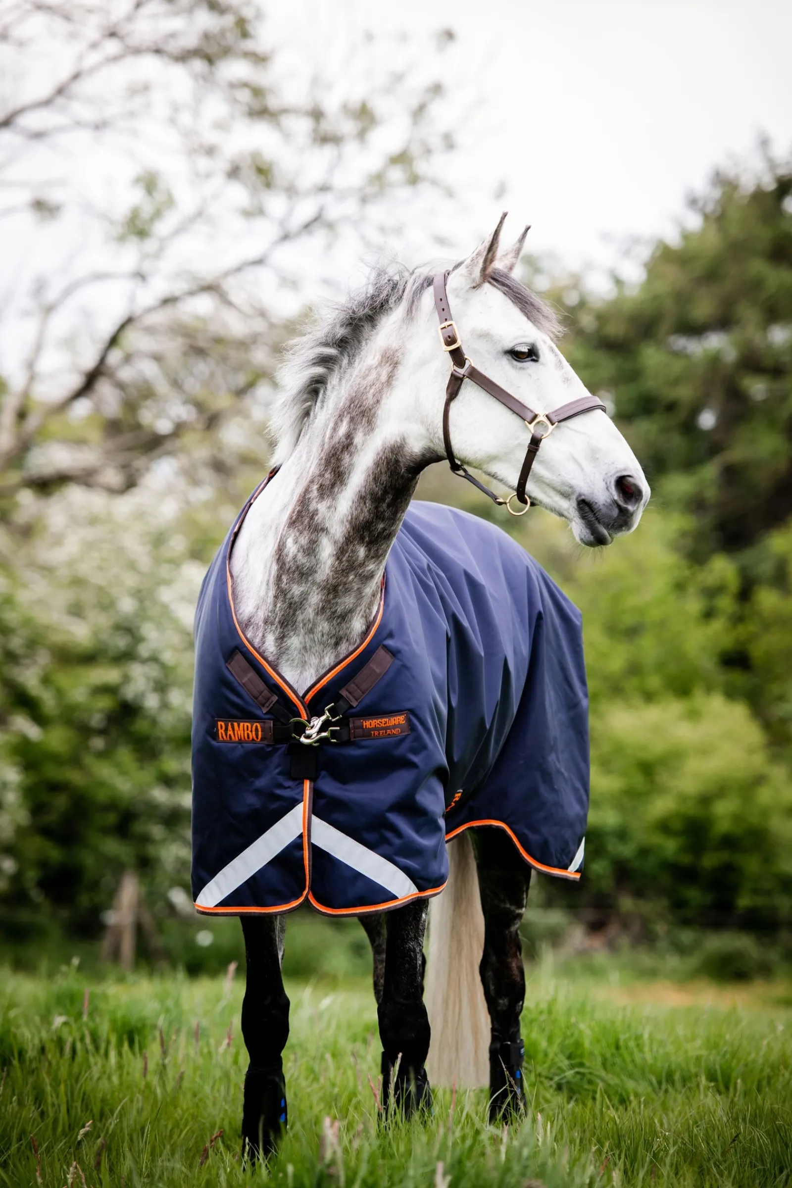 Horseware Rambo Original Weidedecke mit Beinausschnitt, 100g* Leichte Weidedecken