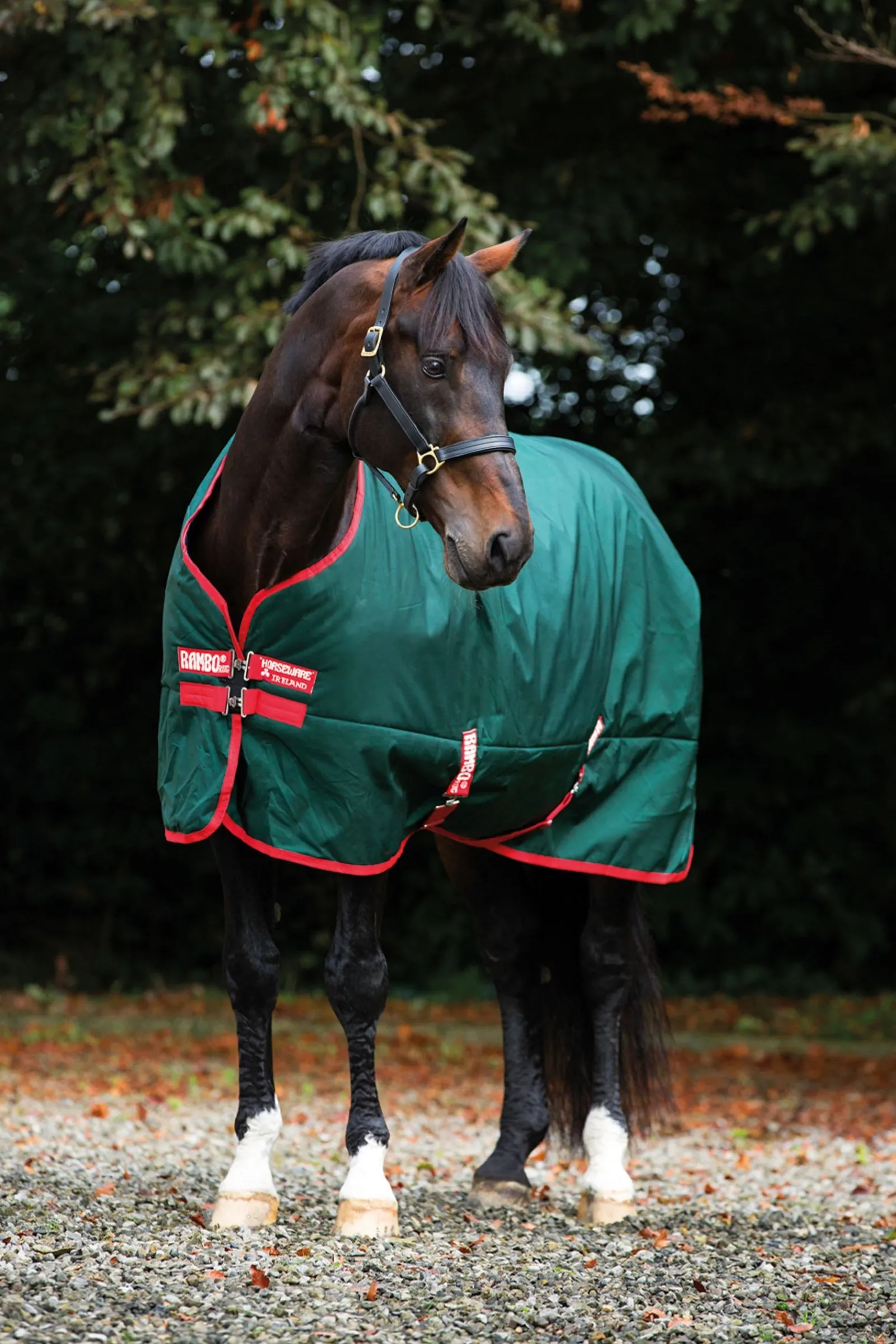Horseware Rambo Original Weidedecke, 0g* Leichte Weidedecken