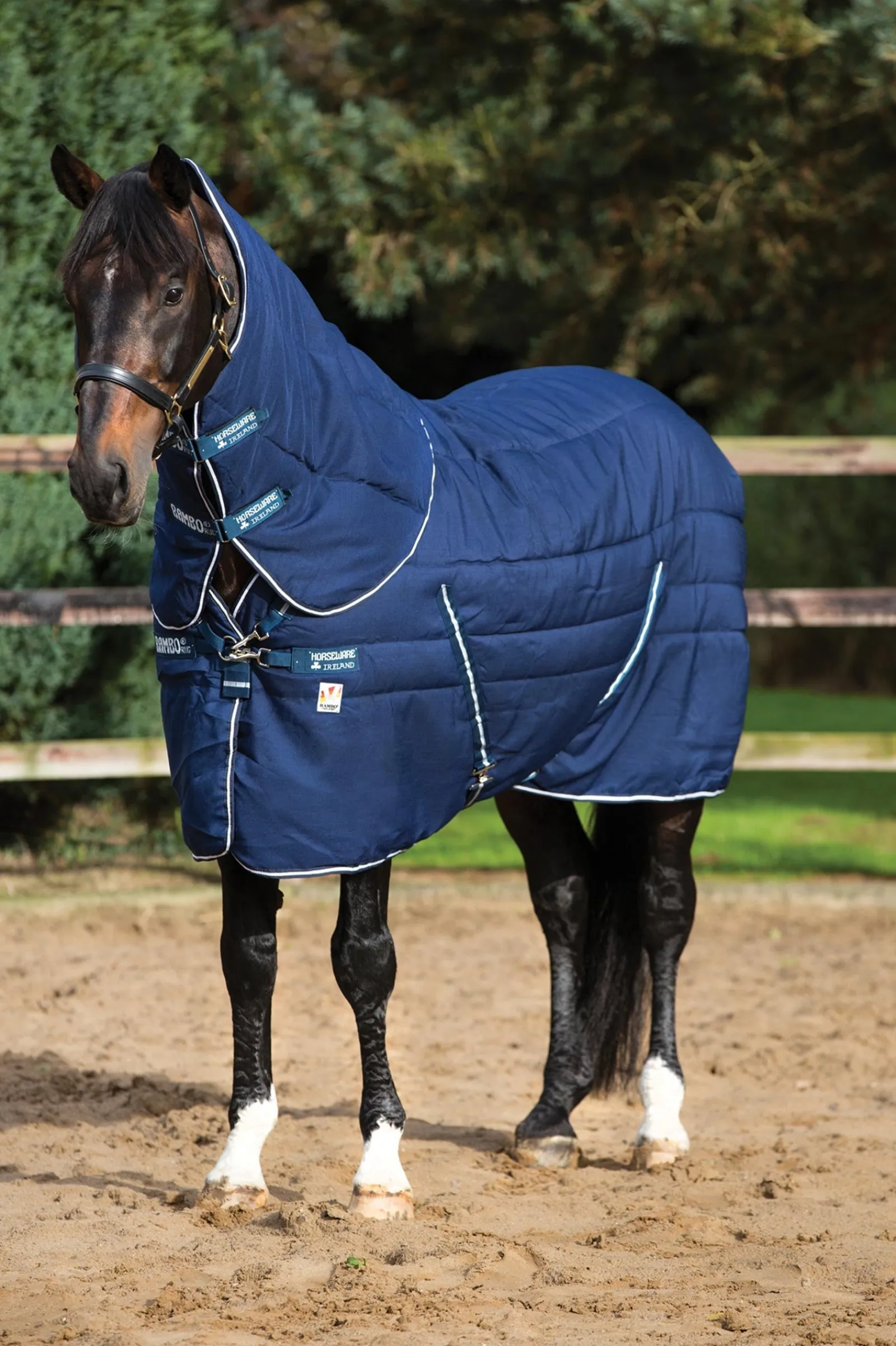 Horseware Rambo Plus Vari-Layer Stalldecke mit abnehmbarem Halsteil, 450 g* Stall- & Unterdecken