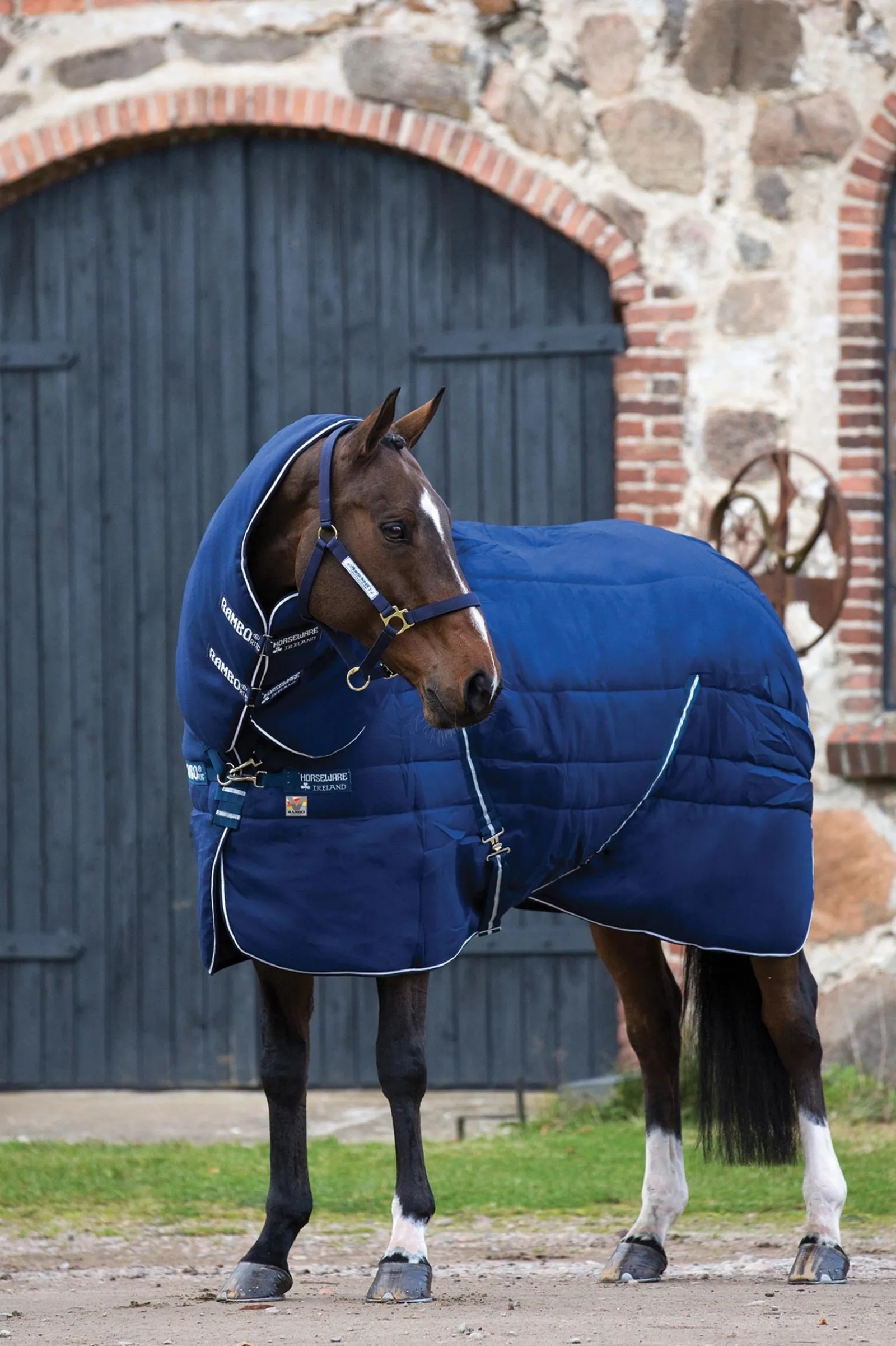 Horseware Rambo Plus Vari-Layer Stalldecke mit abnehmbarem Halsteil, 450 g* Stall- & Unterdecken