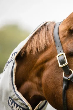 Horseware Rambo Protector Fliegendecke mit abnehmbarem Halsteil* Fliegendecken