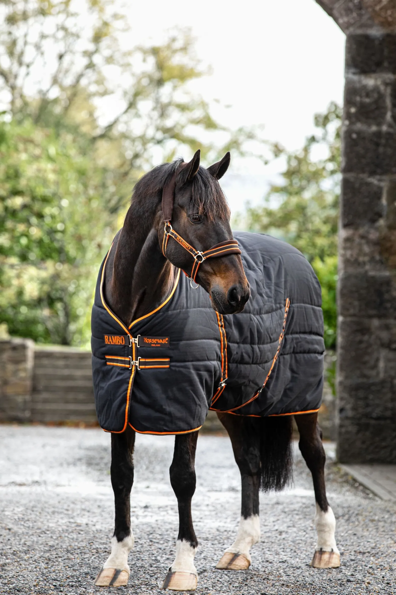 Horseware Rambo Stalldecke, 200g* Stall- & Unterdecken