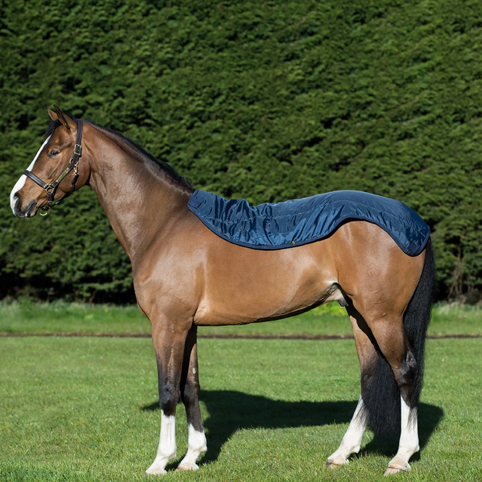 Horseware Rambo Summer Series Weidedecke mit Liner (0g / 100g) und abnehmbarem Halsteil* Leichte Weidedecken