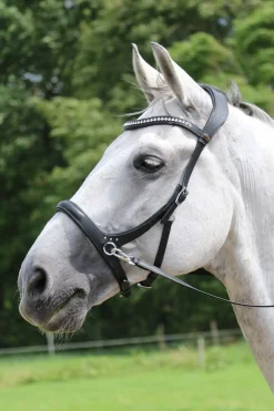 F.R.A. Freedom Riding Articles Rebecca Sidepull mit Zügeln (System 3)* Trensen & Nasenriemen